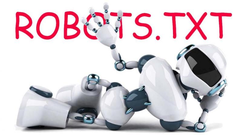 Что такое robots.txt и зачем он нужен в Ярославле